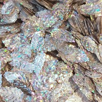 Flitre holographic silver 197